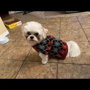 Meet your Posher, Monroe